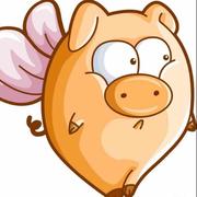 风信子1470360814961的个人资料头像