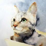 田冬冬的个人资料头像