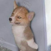 aHa2928的个人资料头像