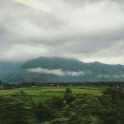 森木的个人资料头像