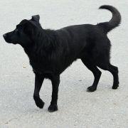 至尊七虾堡的个人资料头像