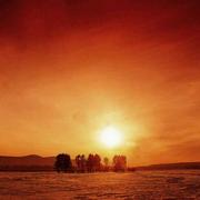 蛇大人的个人资料头像