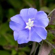 静默润泽的个人资料头像