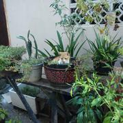 榆木疙瘩的个人资料头像