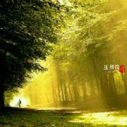 清风明月rb的个人资料头像