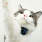 离夏3714的个人资料头像