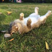 金小晨的个人资料头像