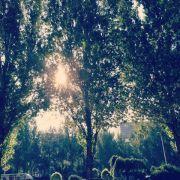 王思康est的个人资料头像