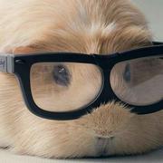 A凌风的个人资料头像