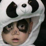 天盟同学的个人资料头像