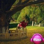 Ame1ia的个人资料头像