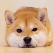 淡忘忘淡的个人资料头像