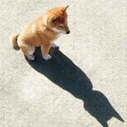 小钙的个人资料头像