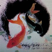 宁的个人资料头像