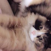 田么么的个人资料头像