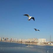 昨夜东风的个人资料头像