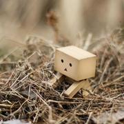 tiankong2015的个人资料头像