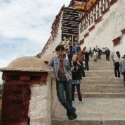 dichengsiyu的个人资料头像