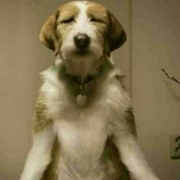 junyi5502的个人资料头像