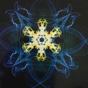 Anel的个人资料头像