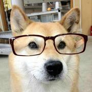 xyz1477669363141的个人资料头像