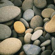 磨剑2011的个人资料头像