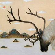 小牛快跑的个人资料头像