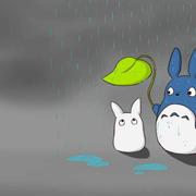 涵寒的个人资料头像