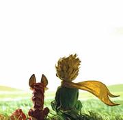 杨乐乐的个人资料头像