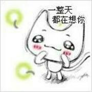 爱上林白的个人资料头像