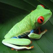 franksmith的个人资料头像