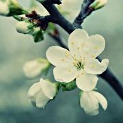 阿甘721的个人资料头像