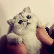 赵总的个人资料头像