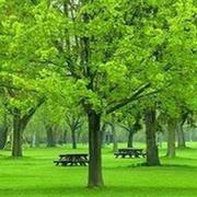 明亮1478839486249的个人资料头像