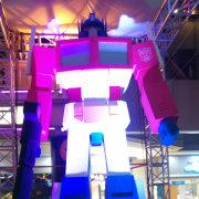 金色狐狸的个人资料头像