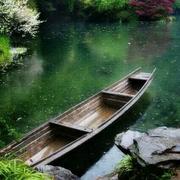 Amoic的个人资料头像