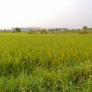 等椡天明的个人资料头像