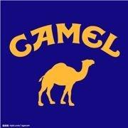 滋boooom的个人资料头像