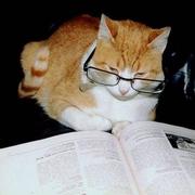 想瘦的胖叔的个人资料头像