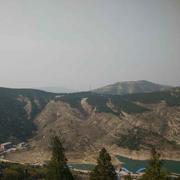 王伟震的个人资料头像