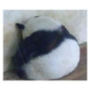 bone鱼骨的个人资料头像