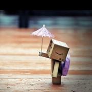 木棉花开的个人资料头像