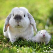 刘子齐的个人资料头像