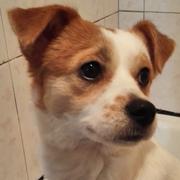 曹逸君的个人资料头像