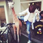 Poesr的个人资料头像