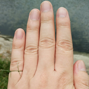 micro_hx的个人资料头像