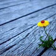 王建辉的个人资料头像