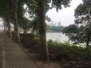 深浅的个人资料头像