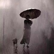 IUV12374的个人资料头像