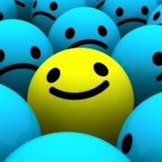 Birdfly103的个人资料头像